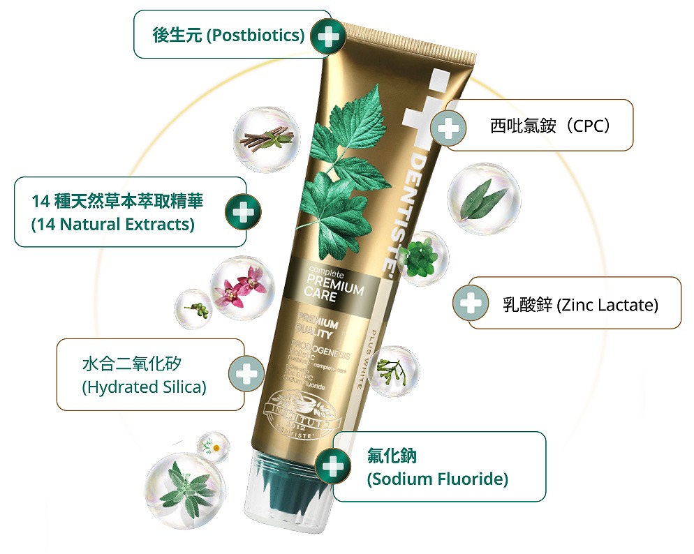 Dentiste Premium inside