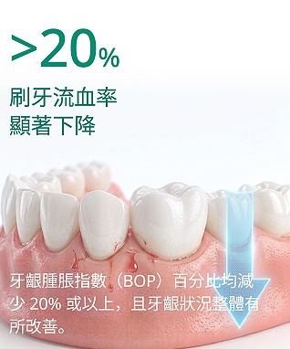 Dentiste Premium test03